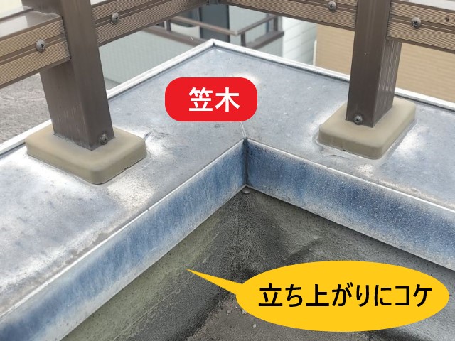 笠木　立ち上がりにコケ